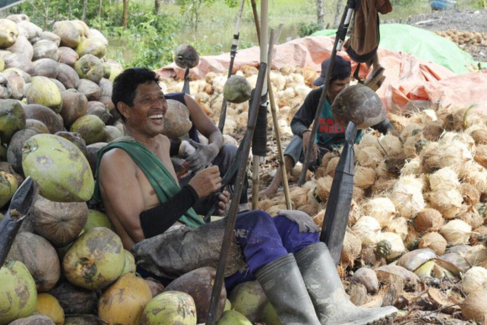 daging kelapa Jakarta